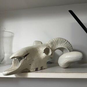 White Ram Skull Sculpture